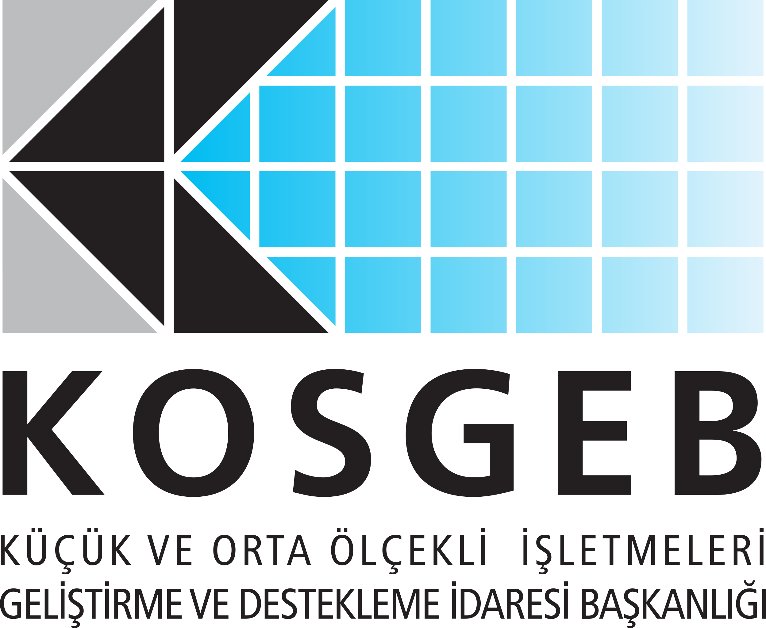KOSGEB - küçük ve orta ölçekli işletmeleri geliştirme ve destekleme idaresi başkanlığı